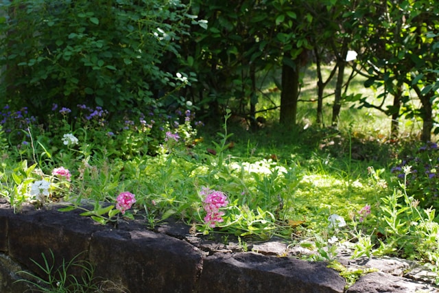 Tuinrenovatie: fris je tuin op zonder helemaal opnieuw te beginnen