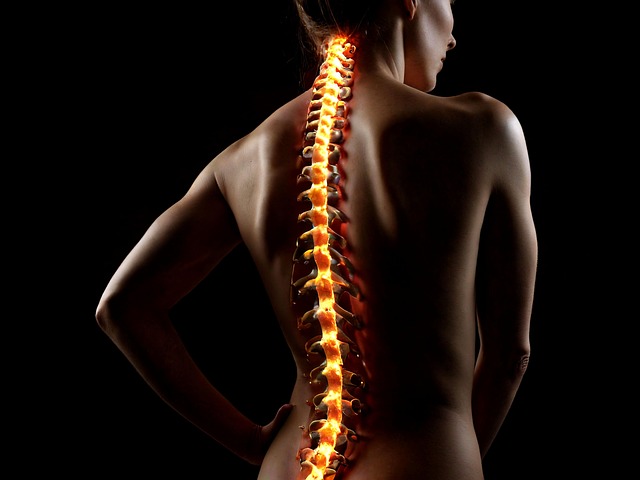 Fysiotherapie